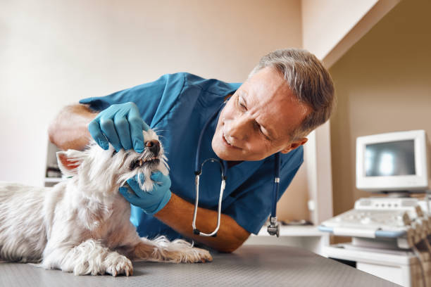 Best Emergency Tooth Extraction in Ansted, WV